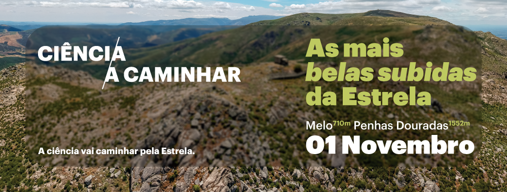 Banner-site-01.11.2025-Melo-Penhas Douradas.png